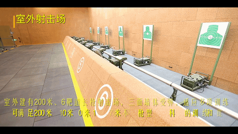 篮球协调训练的成功案例分析_1